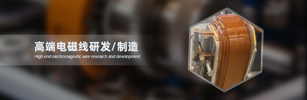 圖片3